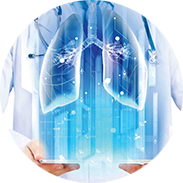 Llista d'Especialitats